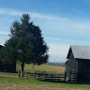 Meet your Posher, Sally